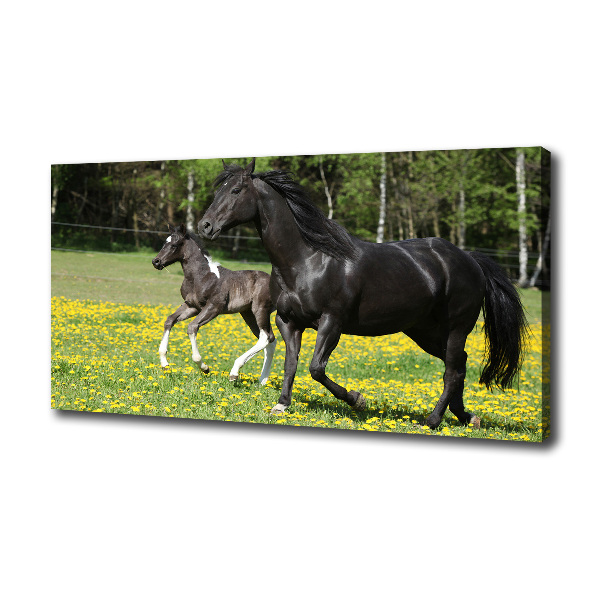 Canvas wall art Mare with foal