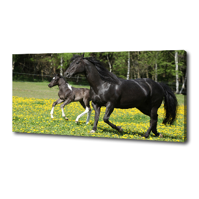 Canvas wall art Mare with foal