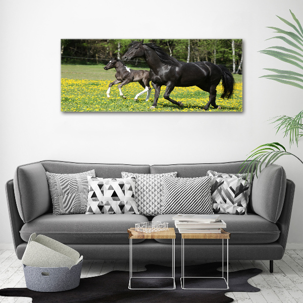 Canvas wall art Mare with foal