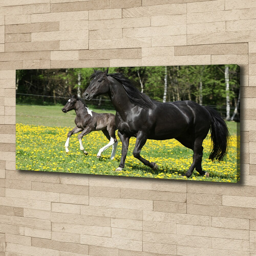 Canvas wall art Mare with foal