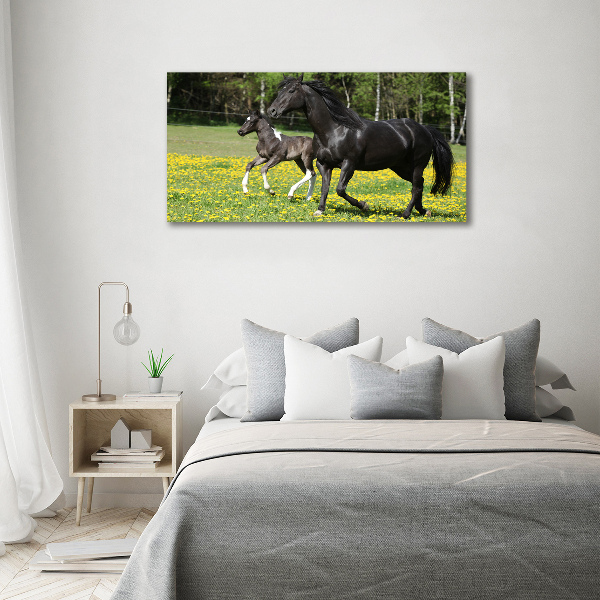 Canvas wall art Mare with foal