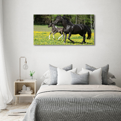 Canvas wall art Mare with foal