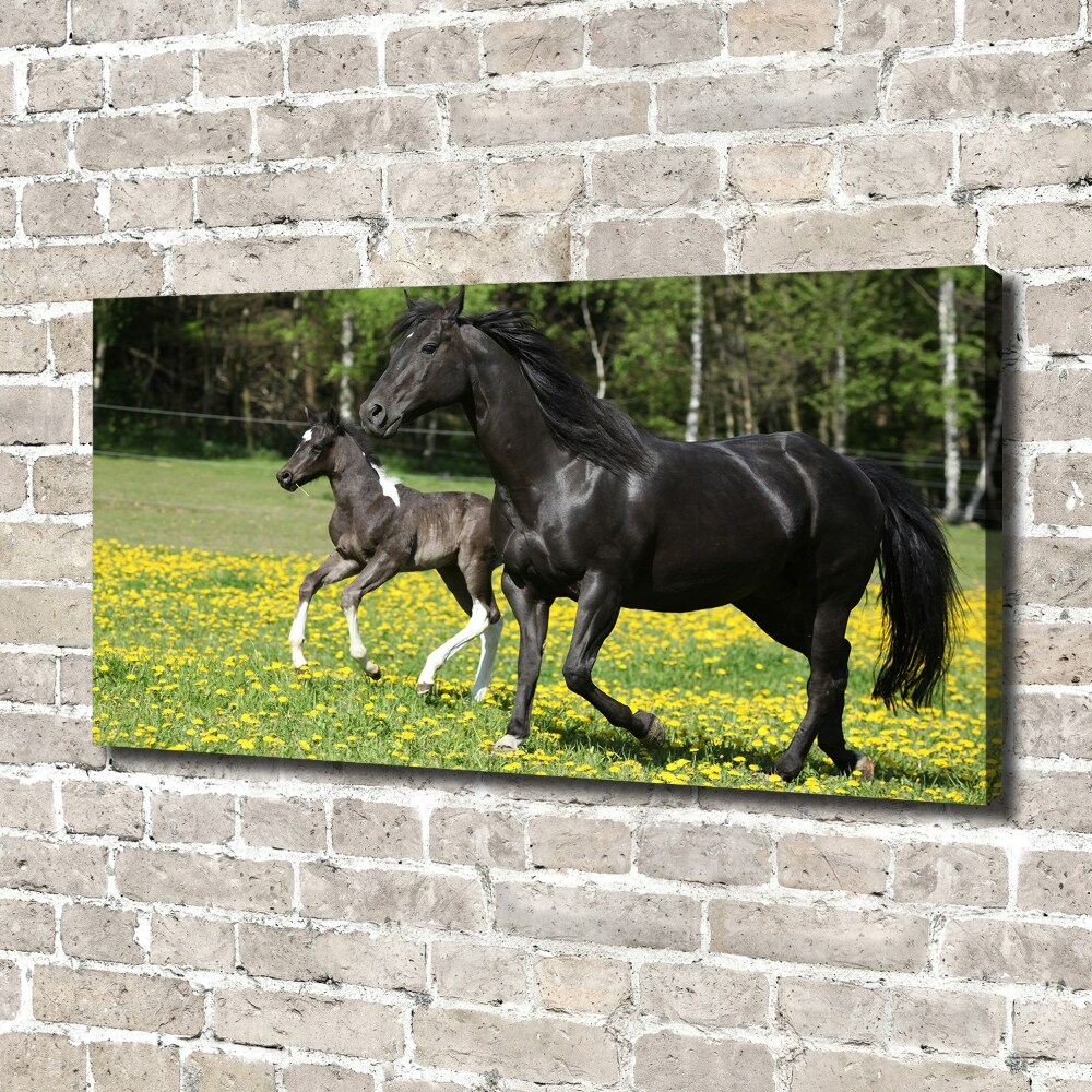 Canvas wall art Mare with foal