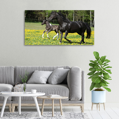 Canvas wall art Mare with foal