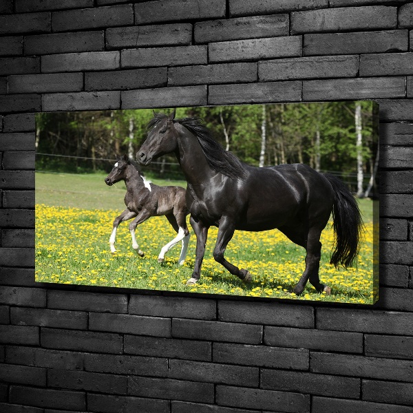 Canvas wall art Mare with foal