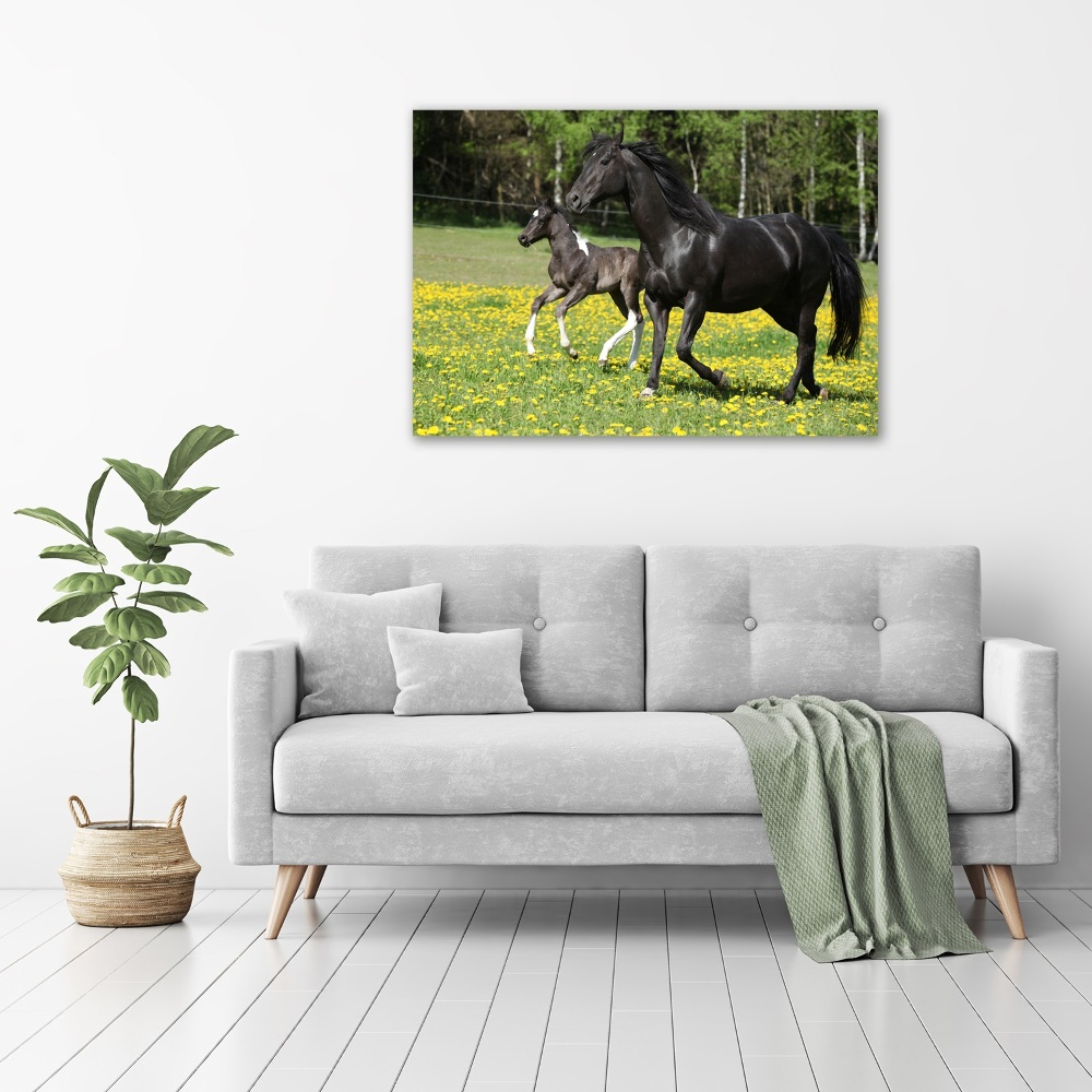 Canvas wall art Mare with foal