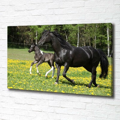 Canvas wall art Mare with foal