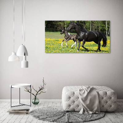 Canvas wall art Mare with foal