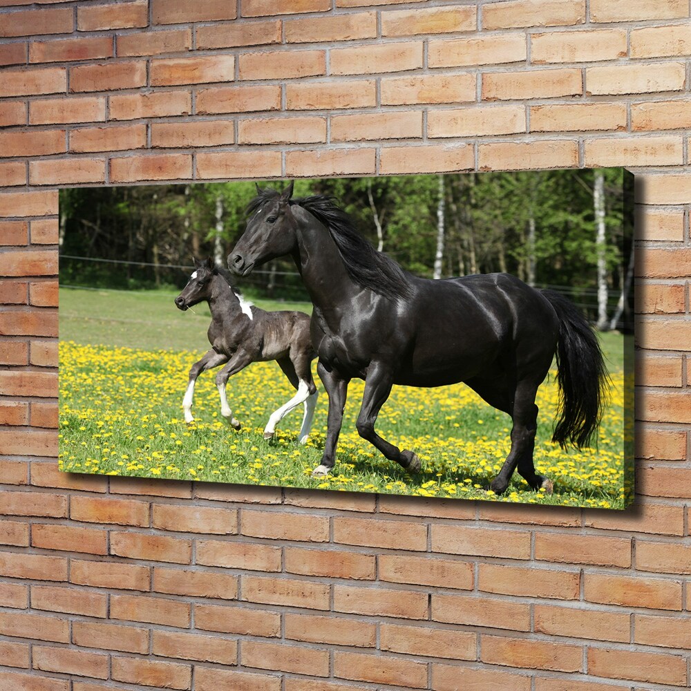 Canvas wall art Mare with foal