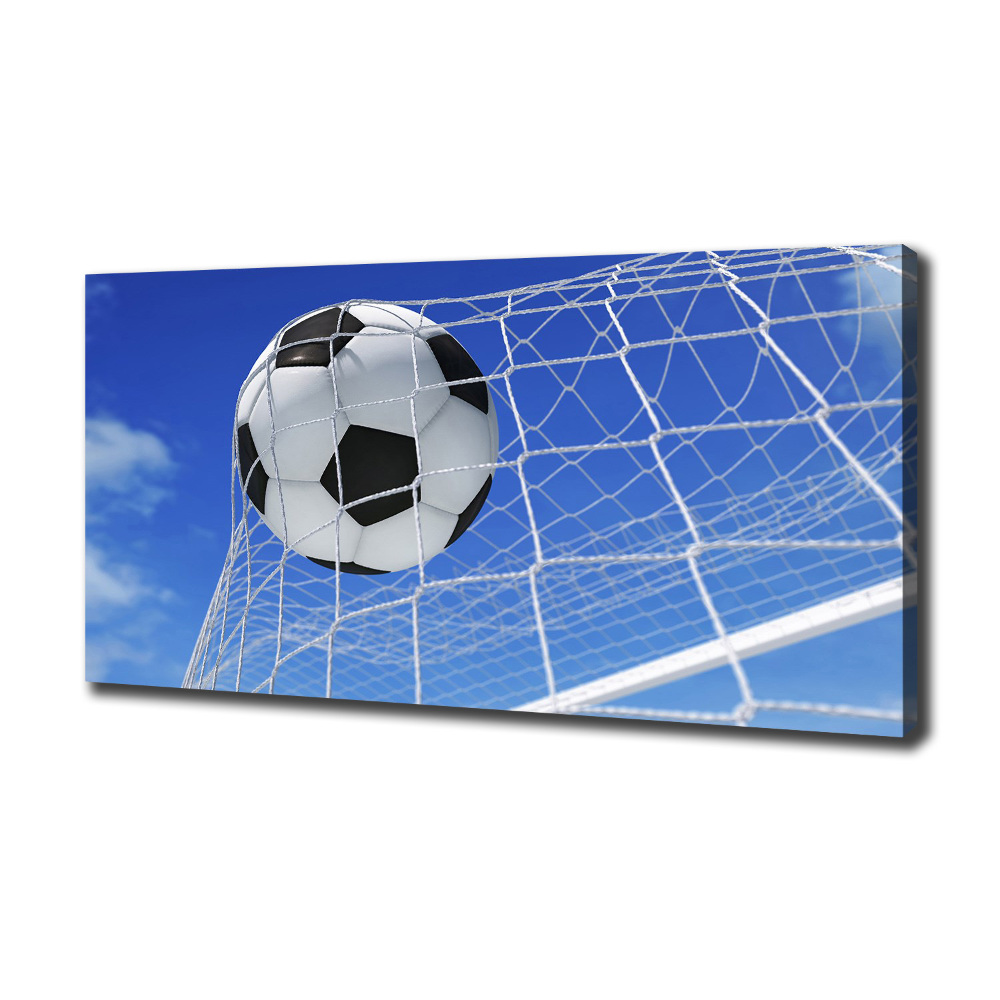 Canvas wall art Ball in the goal