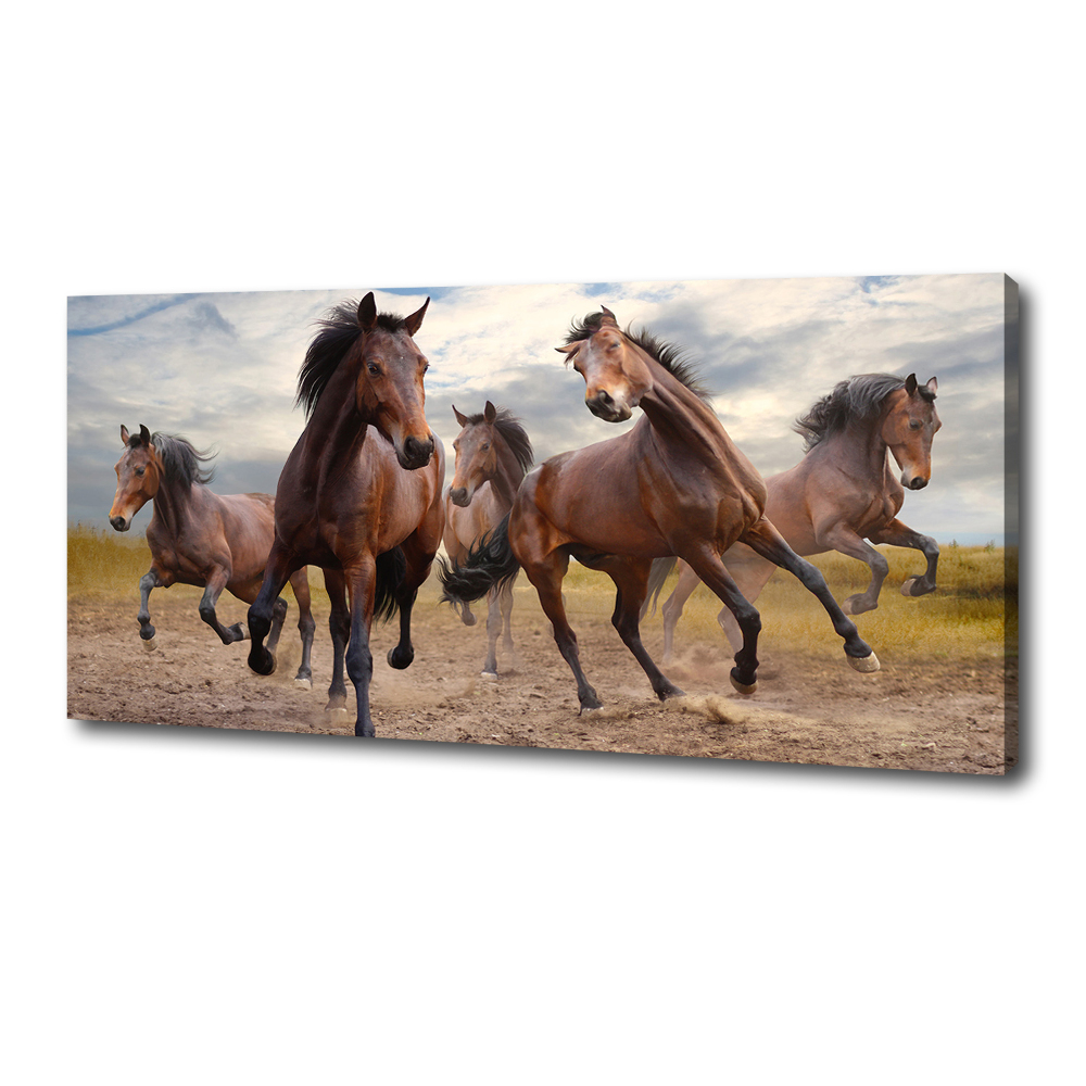 Canvas print Five horses