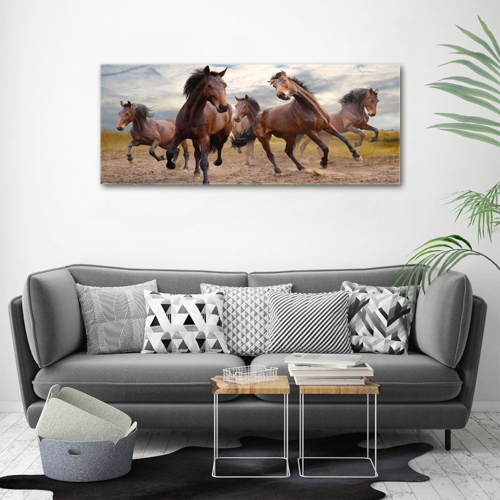 Canvas print Five horses