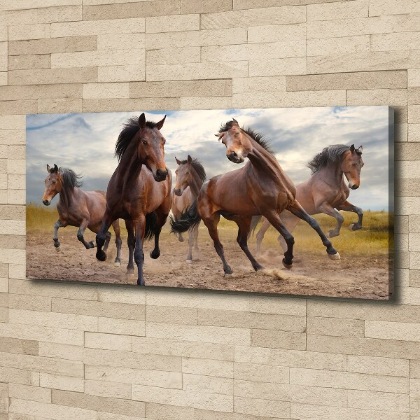 Canvas print Five horses