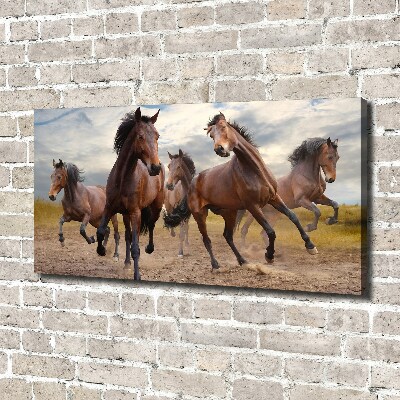 Canvas print Five horses