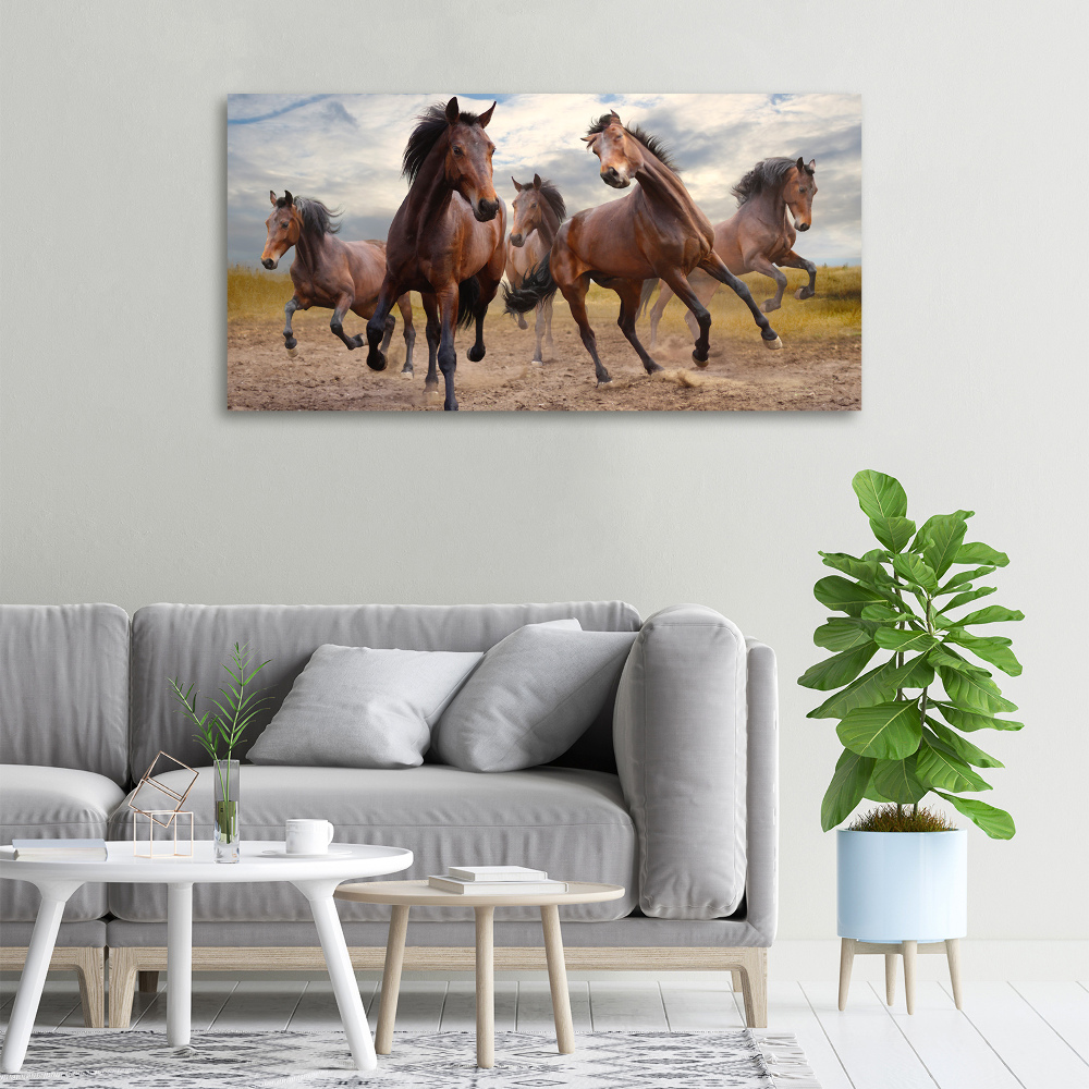 Canvas print Five horses