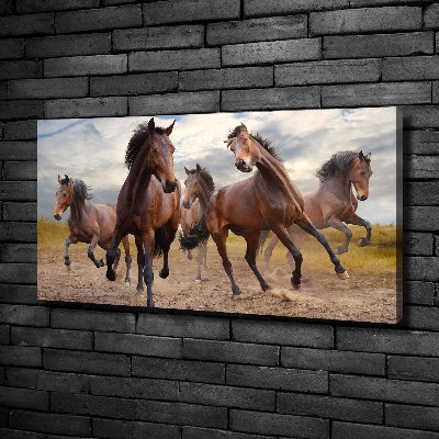 Canvas print Five horses