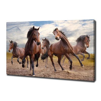 Canvas print Five horses