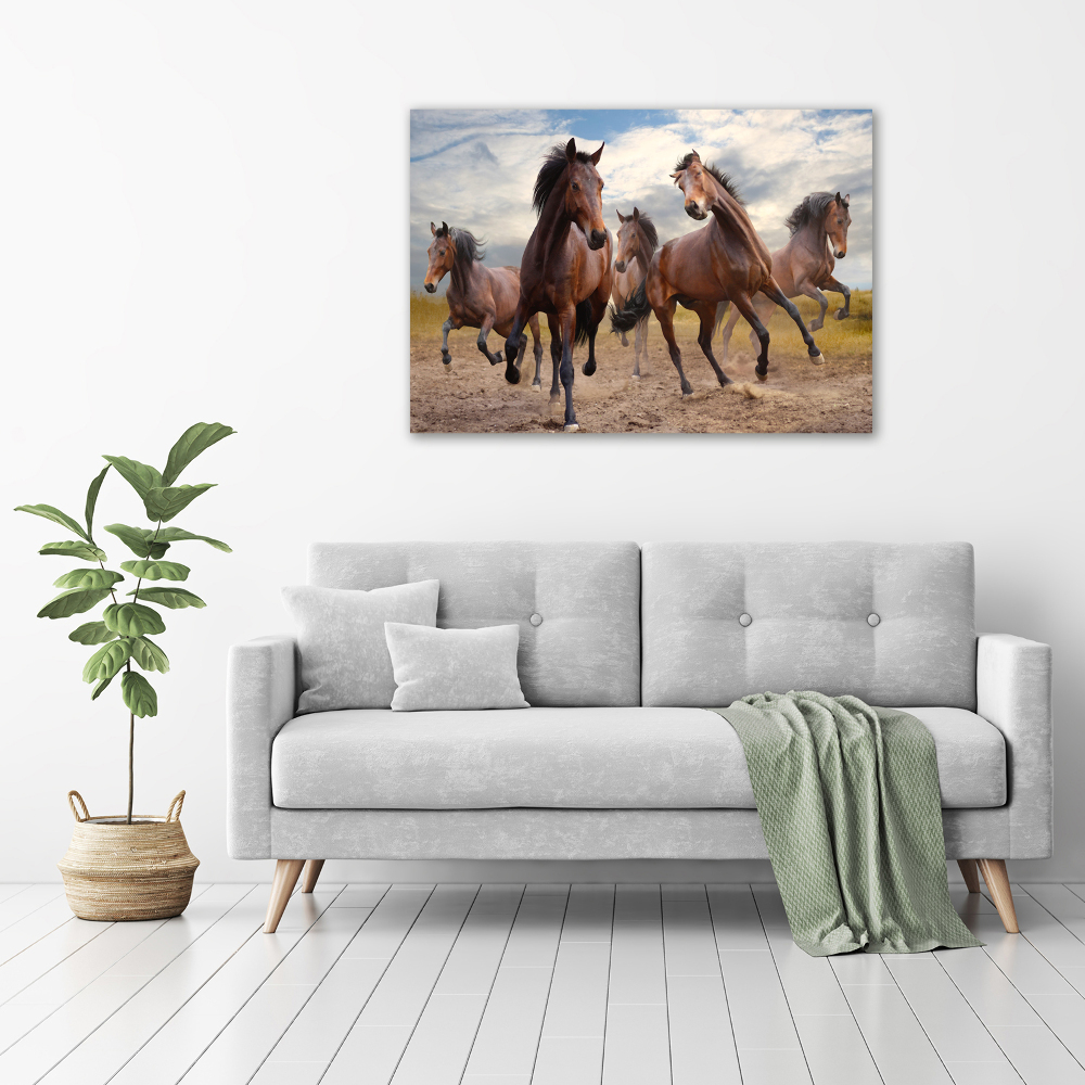 Canvas print Five horses