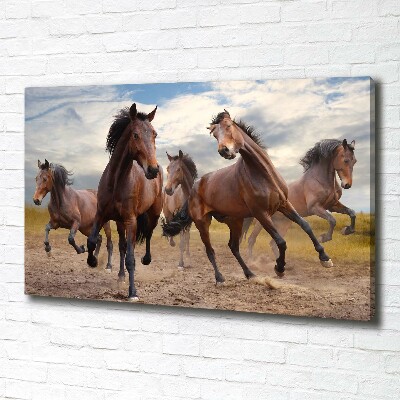 Canvas print Five horses