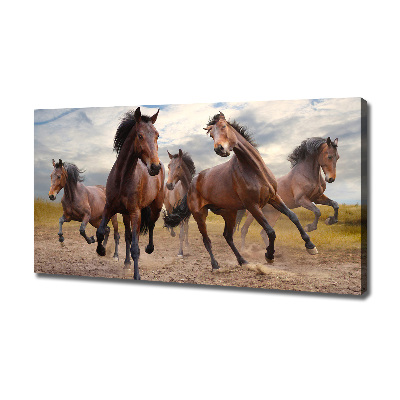 Canvas print Five horses