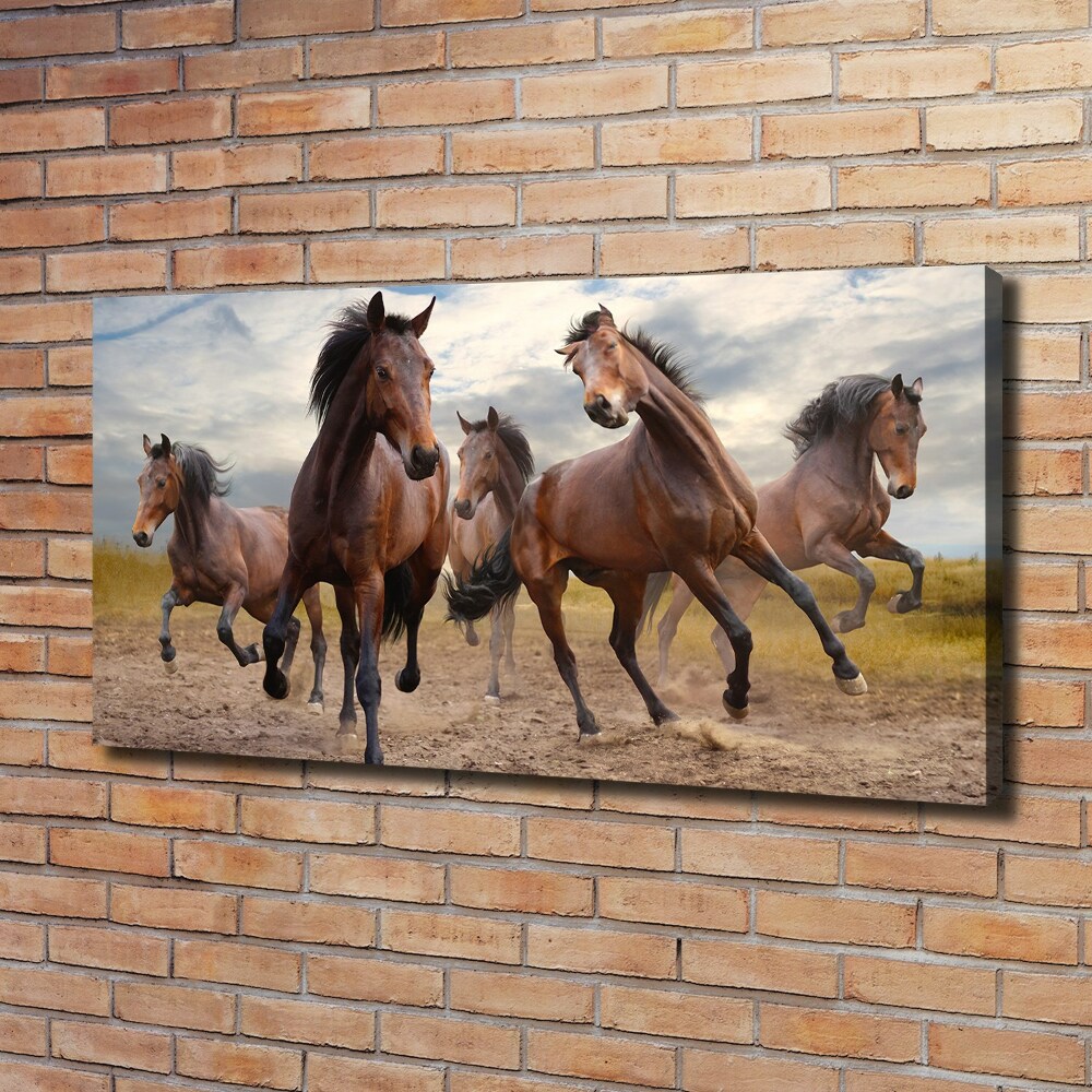 Canvas print Five horses