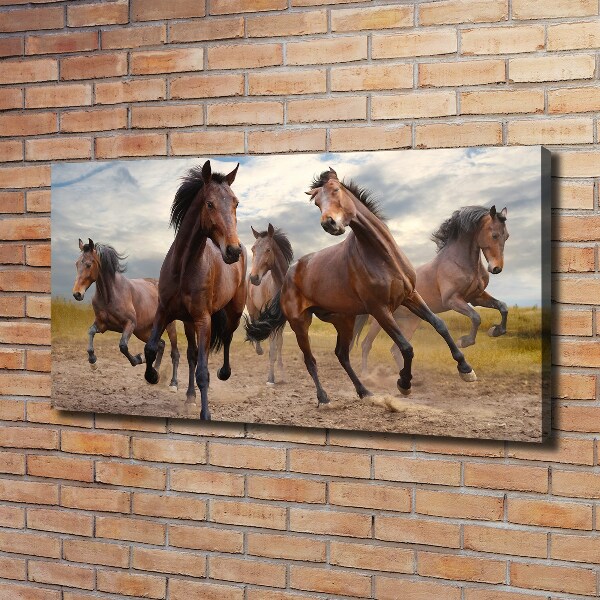 Canvas print Five horses