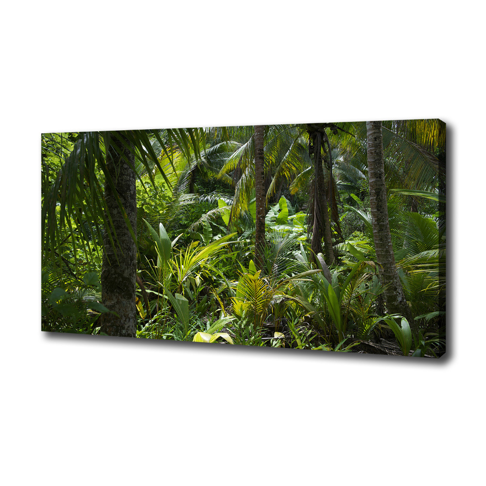 Canvas wall art Tropical forest