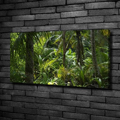 Canvas wall art Tropical forest