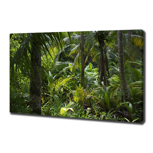 Canvas wall art Tropical forest