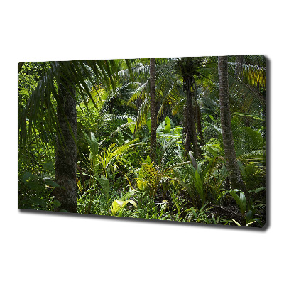 Canvas wall art Tropical forest