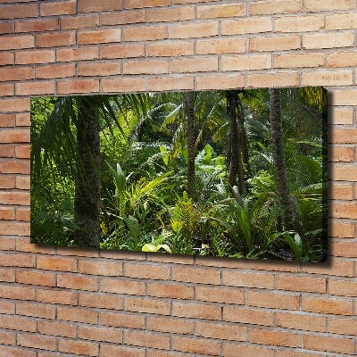 Canvas wall art Tropical forest