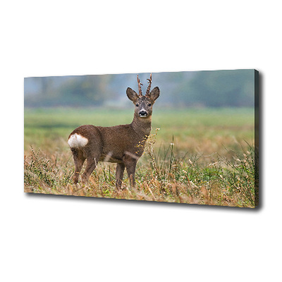 Large canvas wall art Roe