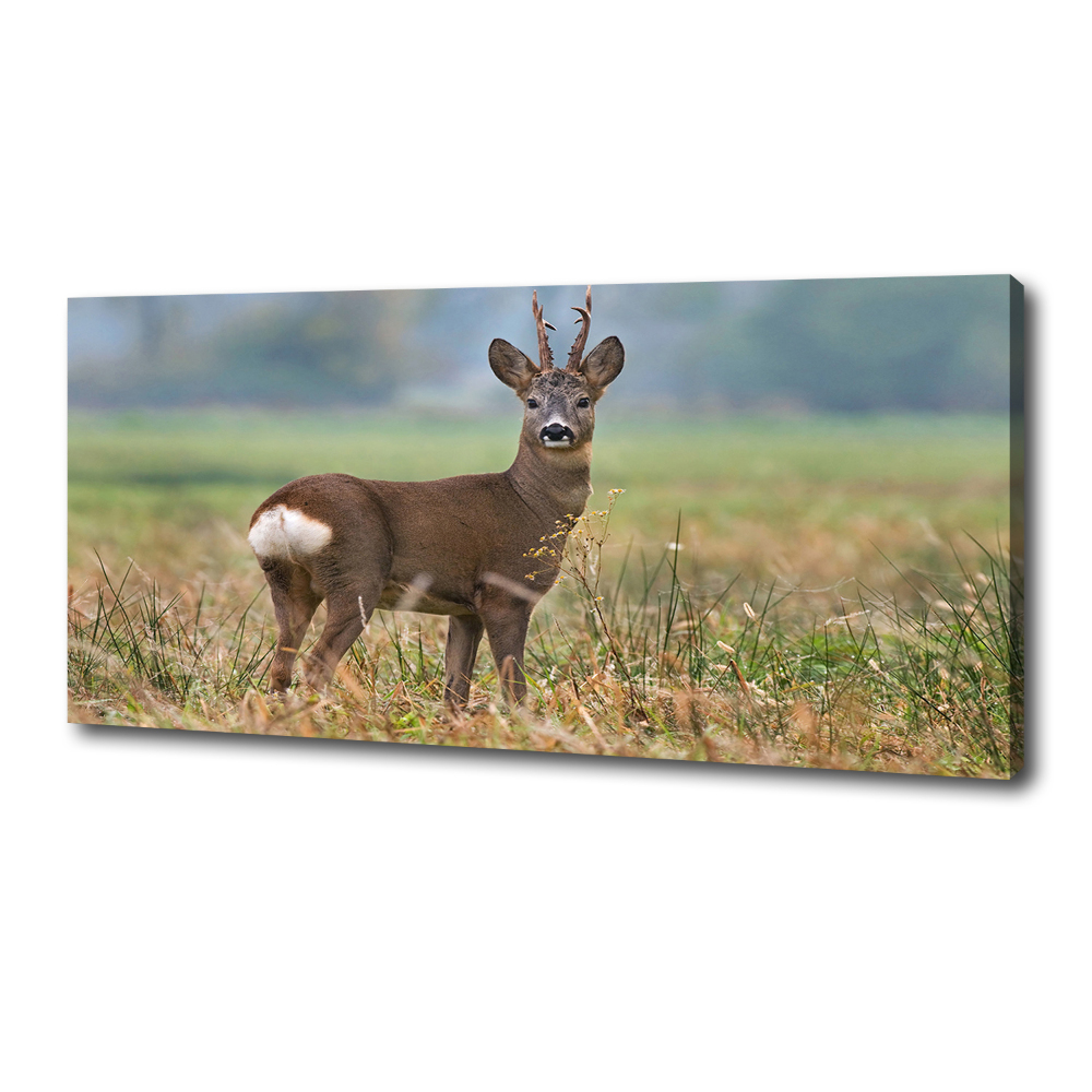 Large canvas wall art Roe