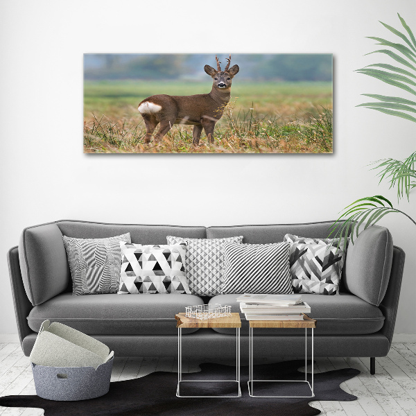 Large canvas wall art Roe