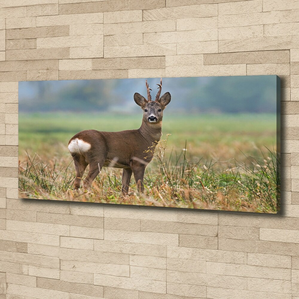 Large canvas wall art Roe