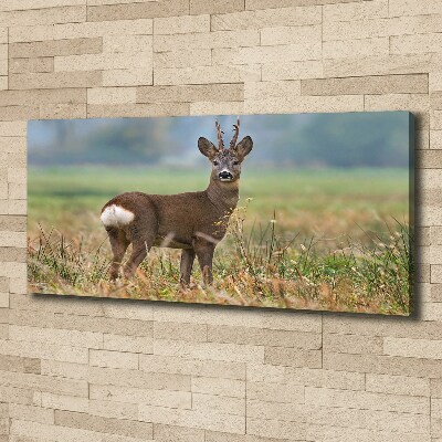 Large canvas wall art Roe