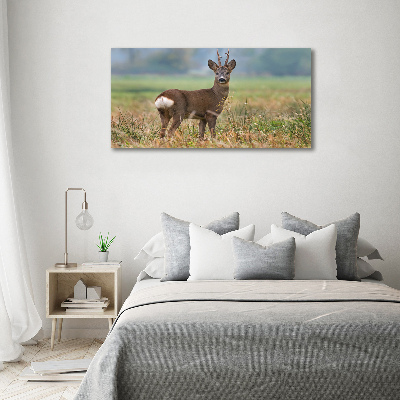 Large canvas wall art Roe