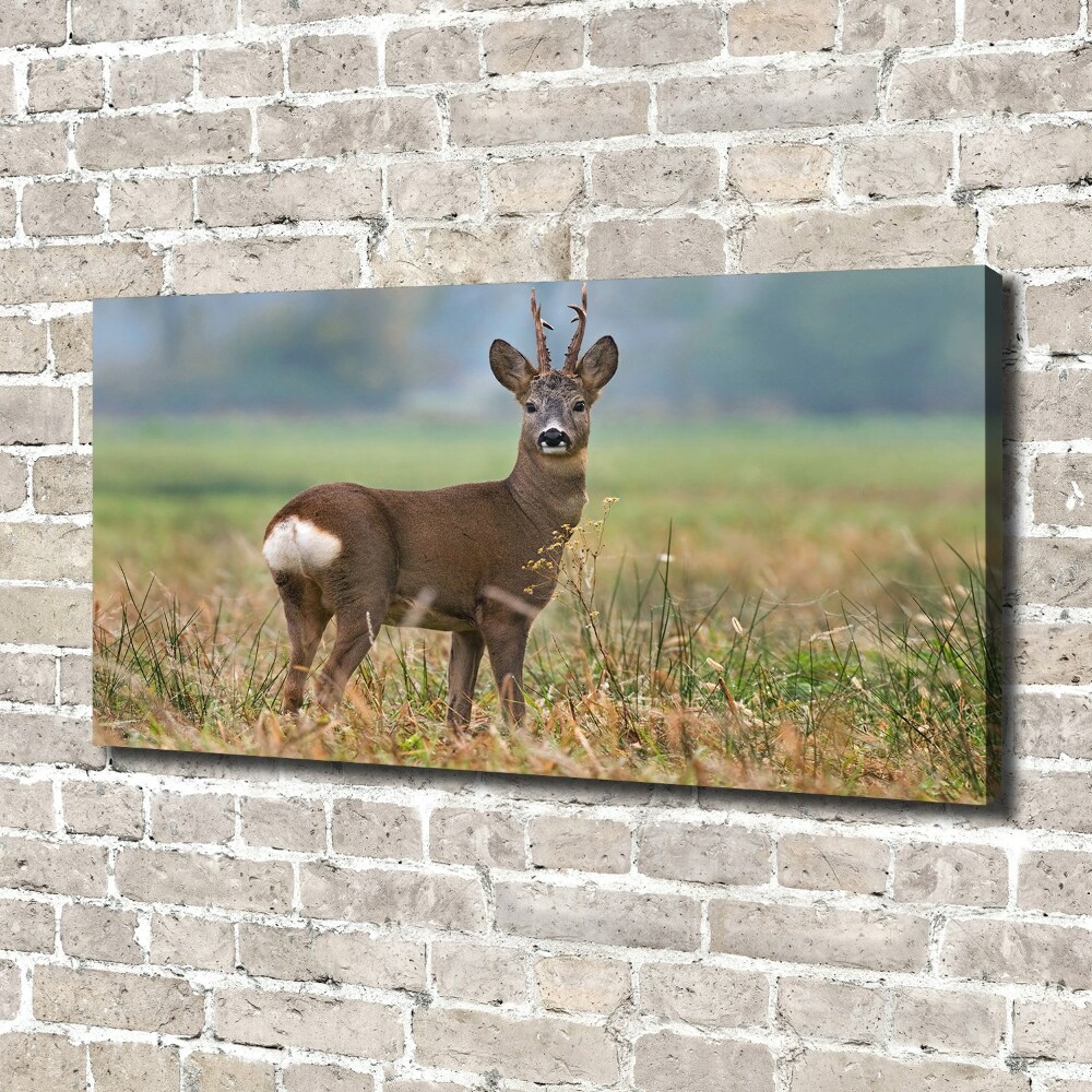 Large canvas wall art Roe