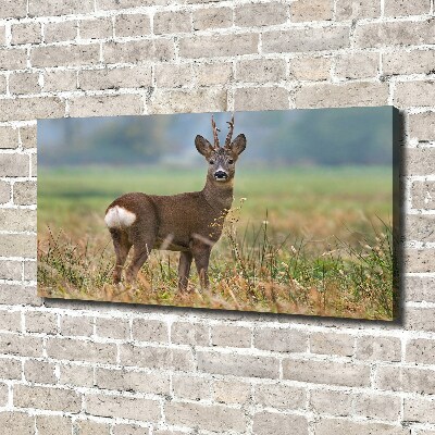 Large canvas wall art Roe