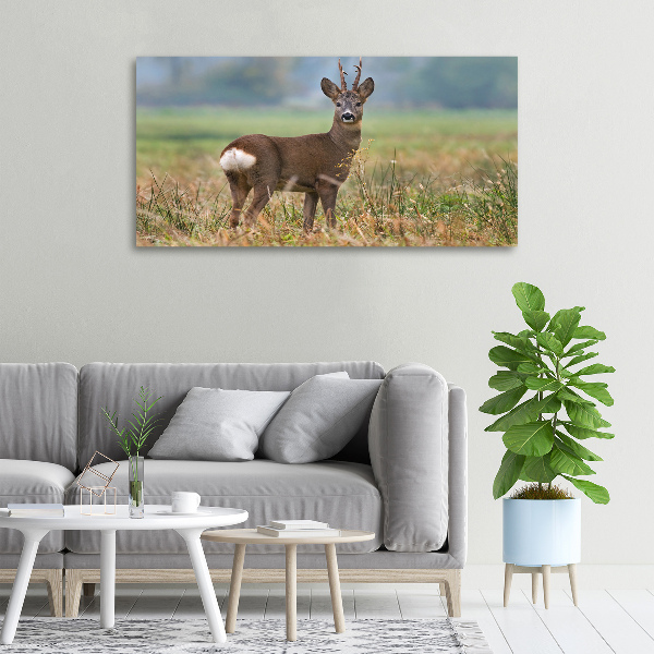 Large canvas wall art Roe