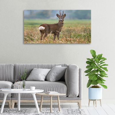 Large canvas wall art Roe