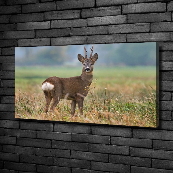 Large canvas wall art Roe