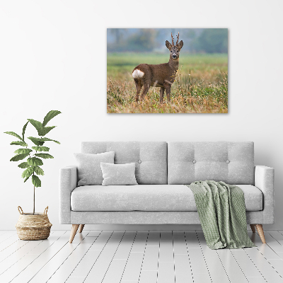 Large canvas wall art Roe