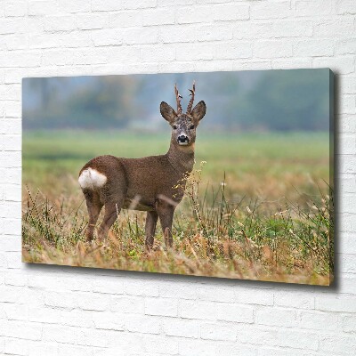 Large canvas wall art Roe