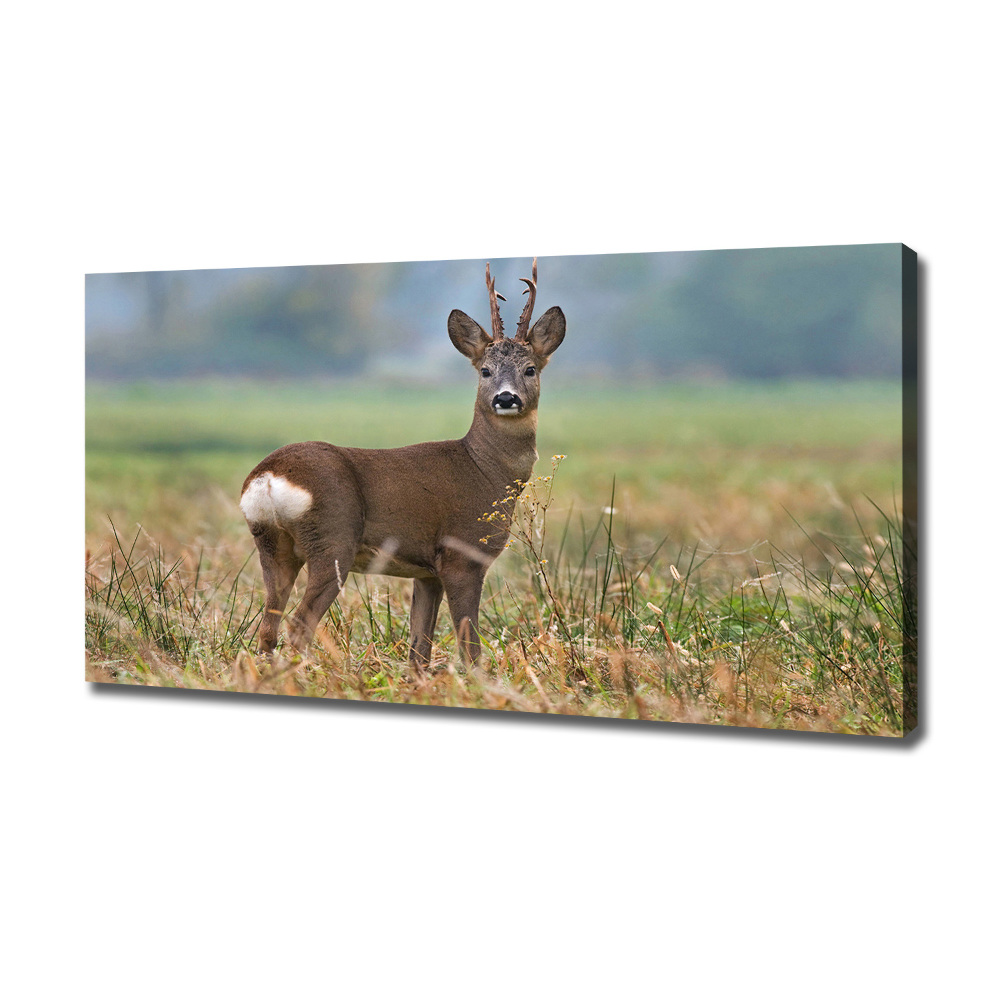 Large canvas wall art Roe