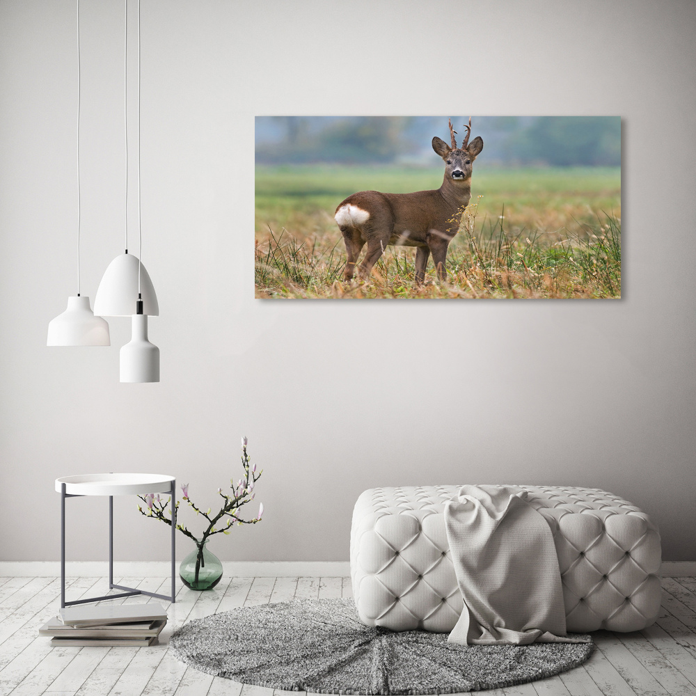 Large canvas wall art Roe