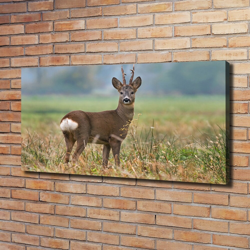 Large canvas wall art Roe