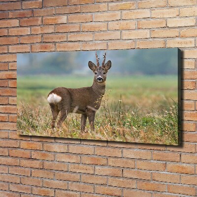 Large canvas wall art Roe