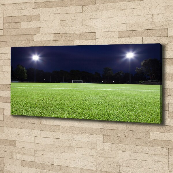 Canvas wall art Football pitch