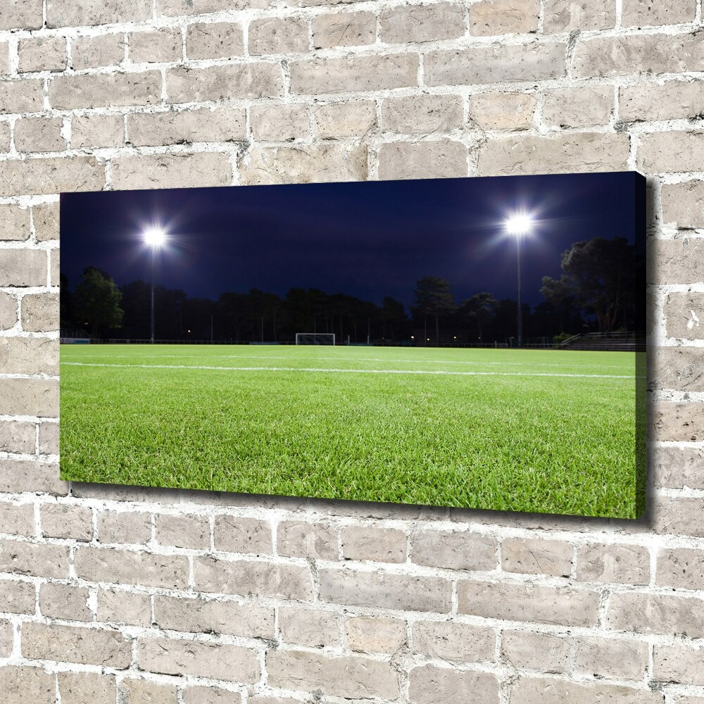 Canvas wall art Football pitch